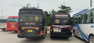 Hoàng Long Limousine